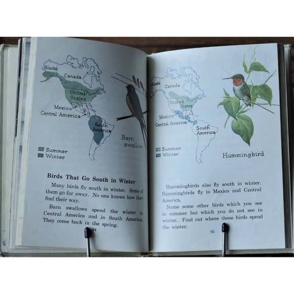 1950s Vintage Science Book "Exploring Science - Four" The Macmillan Company 1957 - Picture 9 of 10